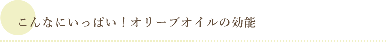 こんなにいっぱい！オリーブオイルの効能